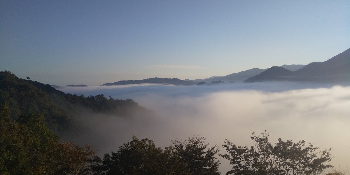 tsuwanok's tweet image. 今日は津和野城跡の出丸から！
#津和野城跡 #雲海 #朝霧 #日本百名城
