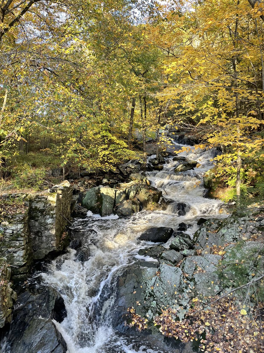 Beautiful walk at our local park!🍁🍂♥️#newengland #fall #Foliage