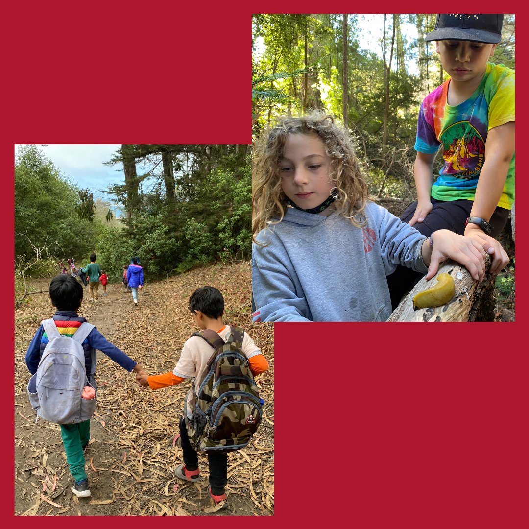 Brightworks tweet media