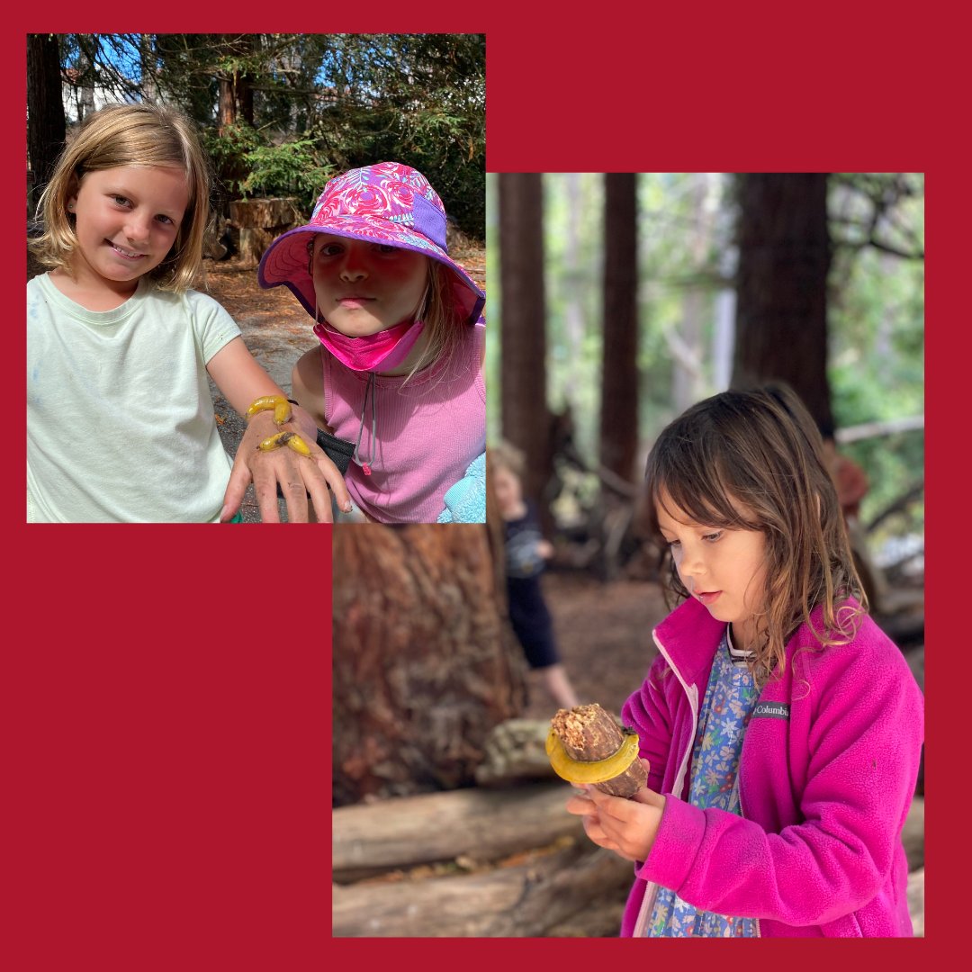 Brightworks tweet media