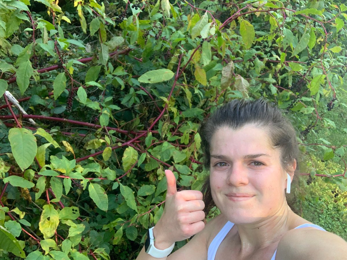 Val LaMore tweet media