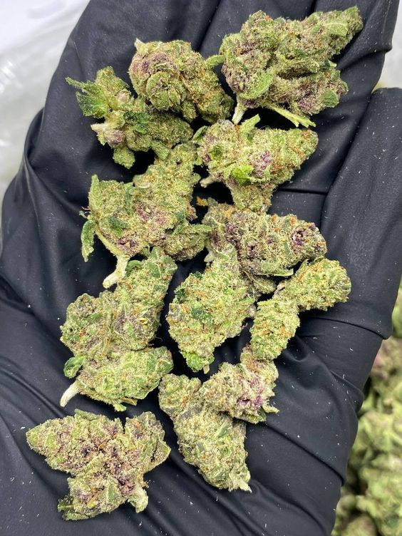 SPACECANNABIS's tweet photo. queria isso pra hoje https://t.co/7rhGnFS9IU