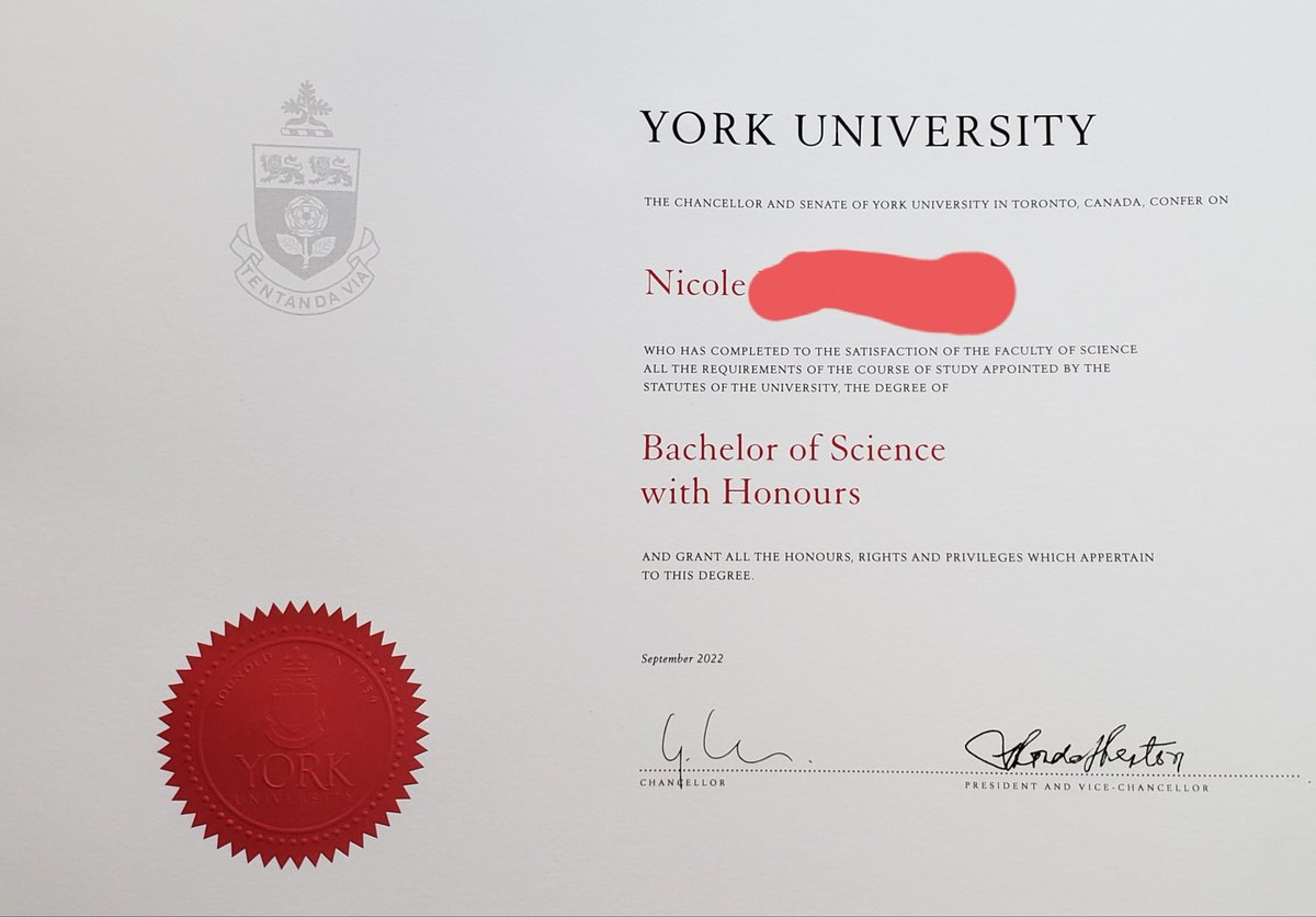 Patreca/Ivana Hump tweet media