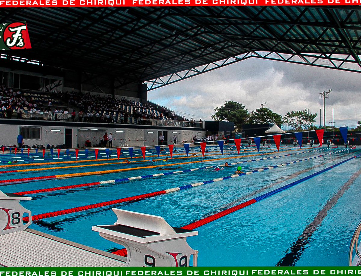 federalesdechi's tweet photo. Nadadores, baloncestistas y voleibolistas tienen nueva casa. Desde este viernes 14 de octubre este nutrido grupo de deportistas tienen a su disposición el gimnasio la Basita y la piscina olímpica de Chiriquí, para desarrollar de la mejor manera estas disciplinas.

#Chiriqui https://t.co/SCecTGSELK