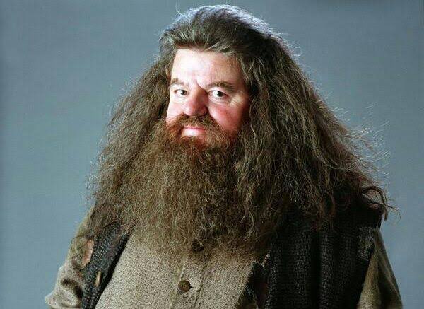 HelenaBCBR's tweet photo. O ator Robbie Coltrane, que interpretou o meio-gigante Rúbeo Hagrid em “Harry Potter”, faleceu hoje. 
Robbie, sua arte nunca será esquecida! Descanse em paz! 🤍 https://t.co/RJjS3gBa6S