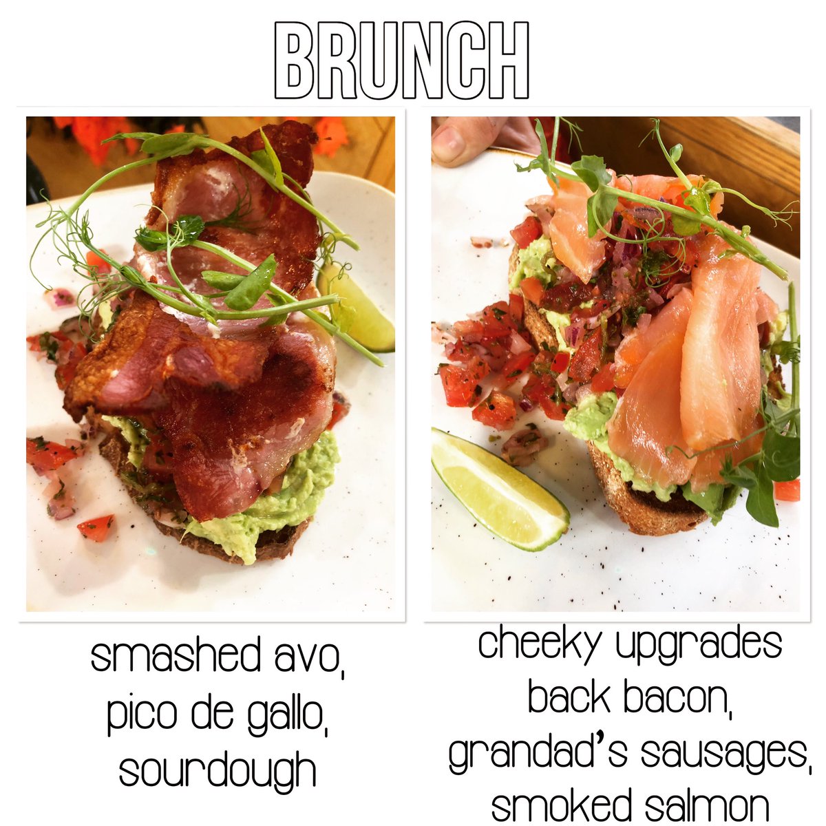 Bean & Brush (@beanandbrush) on Twitter photo 