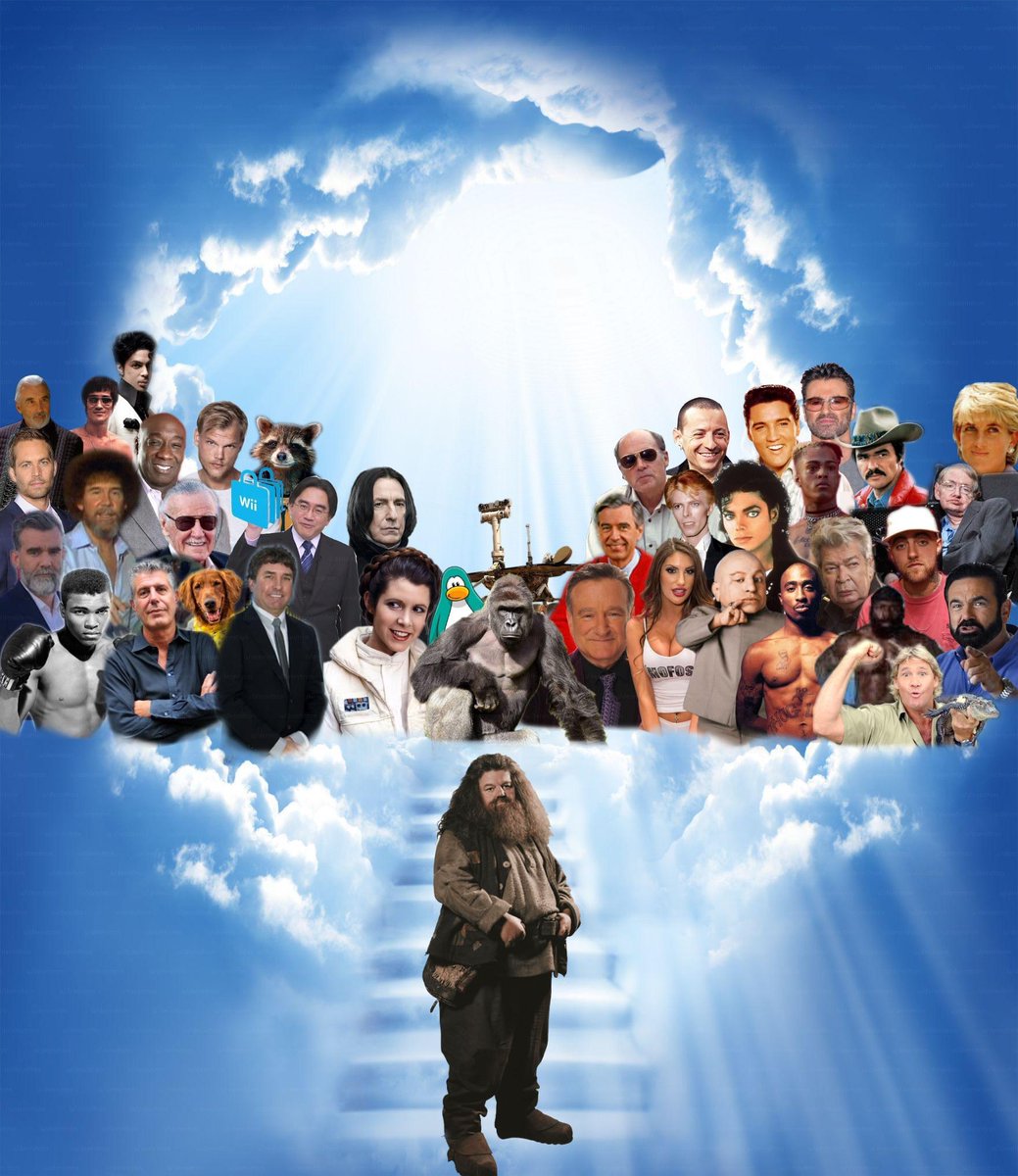 myunclesmemes's tweet photo. Another legend is added among his kinds https://t.co/krY1Zhj3BI