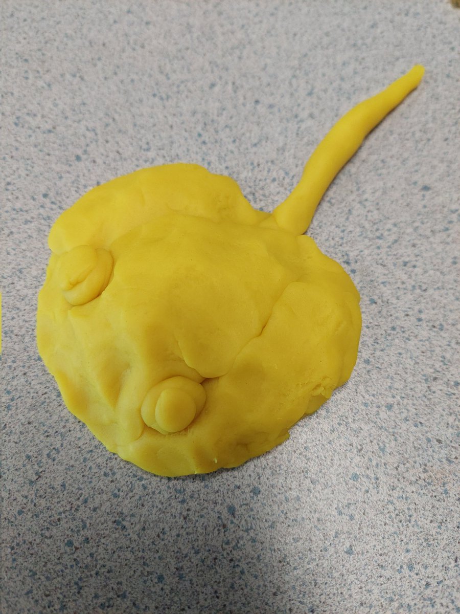 websterteaches's tweet photo. One activity we enjoy includes getting out the playdoh and creating different things. The kids love it! It lends opportunities for speaking, listening and writing for ESOL. #MakeADifference #ESOLrocks @CardenParkElem https://t.co/pgZxmT5DJ9