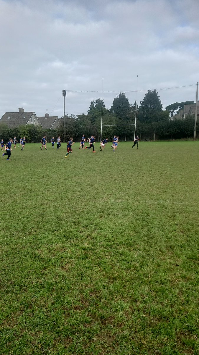 NewRossCCRO's tweet photo. This week's highlight was the 6th Class Blitz held in New Ross. Thanks to all those who attended, reffed, organised and well done to the kids on some very entertaining rugby! https://t.co/RtJ34JUf6o