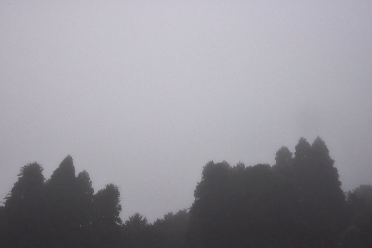 toto_kyotanabe's tweet photo. 今朝も濃霧なので！
＃イマソラ　＃濃霧　＃朝霧 https://t.co/8fMD94MQCu