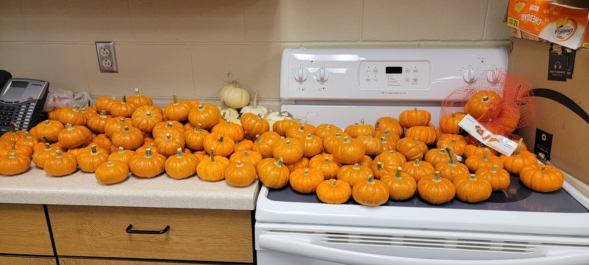 So many pumpkins! Any guesses as to what North Side Students will be making next week?! 😁 hint: <a href="/carlyandadam/">Carly And Adam</a> specialty! 🎃 #STEM #ENSTEM #pumpkinprojects