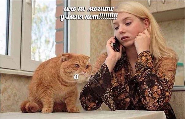 MrSinApilSIN's tweet photo. @tomnaya_satana https://t.co/fZoveiJ9fl