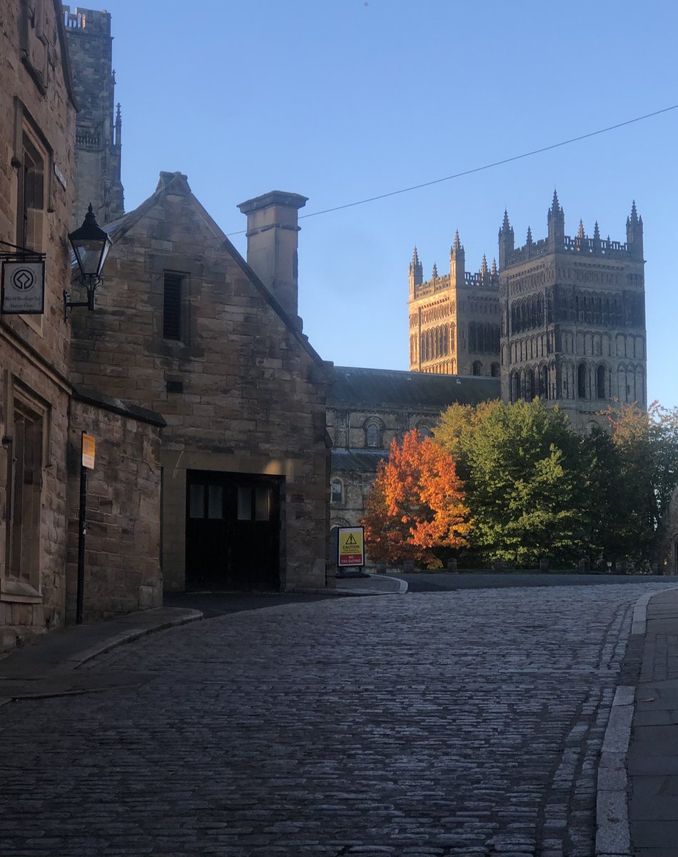 Molly Cochran tweet media