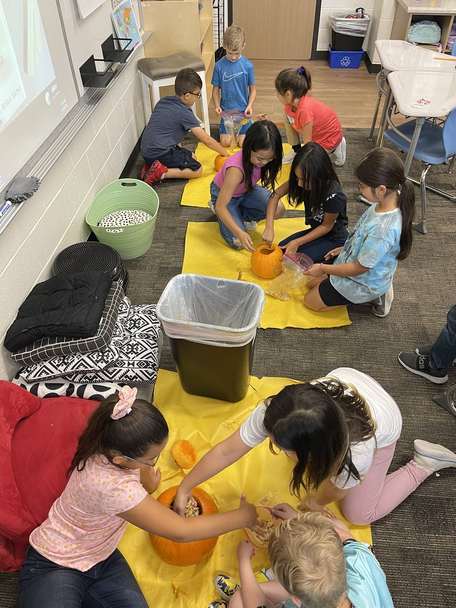 MrsSoares3rd's tweet photo. How many seeds are in a pumpkin? Day 1 was so much fun!! Come back for day 2 to see how we count them! @BradleyCISD @MrsStanaway3rd https://t.co/Gpin83oBui