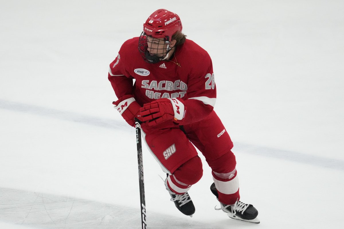 sacredheartmih's tweet photo. We are playing hockey at the Hart Center!

#WeAreSHU https://t.co/IB08flaOfd