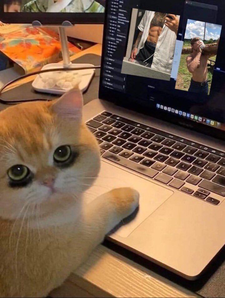 Brat - Official Princess tweet media