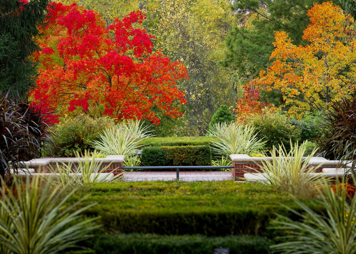 balter_michael's tweet photo. In the 50s, slightly cloudy, a perfect day to see the fall colors at the Chicago Botanic Garden. Walking through the gardens you just want to stop and appreciate all of the beauty.  Happy I brought my camera. 
#chicagobotanic  #canonphotography https://t.co/q9nRAenNB6