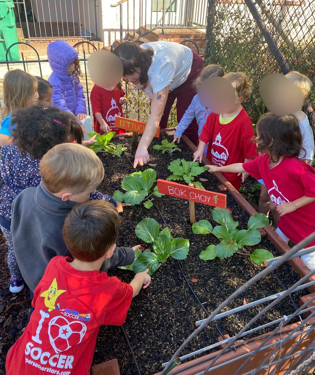PeabodyLibrary1's tweet photo. So thrilled to assist Ms. Aubryn, parent volunteers w 3 FoodPrints classes today w @peabodywatkins PreK &amp; K students! They shared favorite fruits &amp; veggies, discussed &amp; tasted 3 apple varieties, &amp; toured our edible &amp; habitat gardens. We spied an Orb Weaver spider!!@FoodPrintsDC https://t.co/9DxZbQqECx