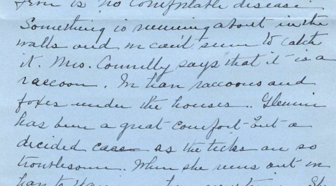 Taking a moment to appreciate Mina Miller Edison's [Hughes's] 1937 raccoon infestation

(Mina to Theodore Edison, 3/26/1937, Chautauqua Institution Archives via Edison Papers Digital Edition)
