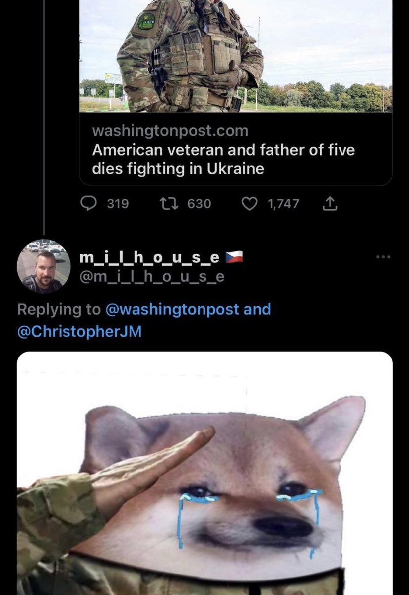 Imagine you go off to fight a war, and some pro Ukraine 🇺🇦 Reddit user salutes you with a Shiba Inu dog…