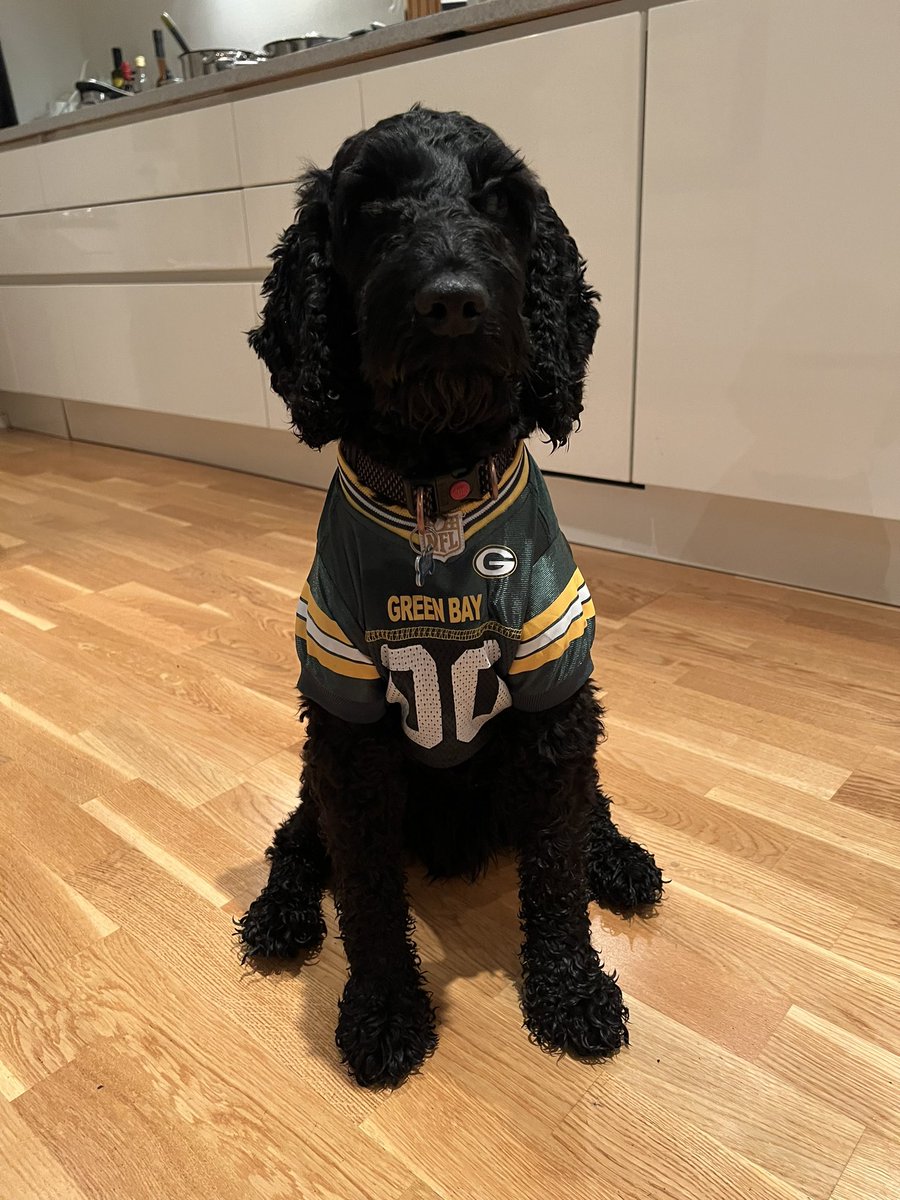 KlausAudun's tweet photo. @PackersTherapy my dog is ready for the Jets on Sunday https://t.co/g7YtgMDGxT