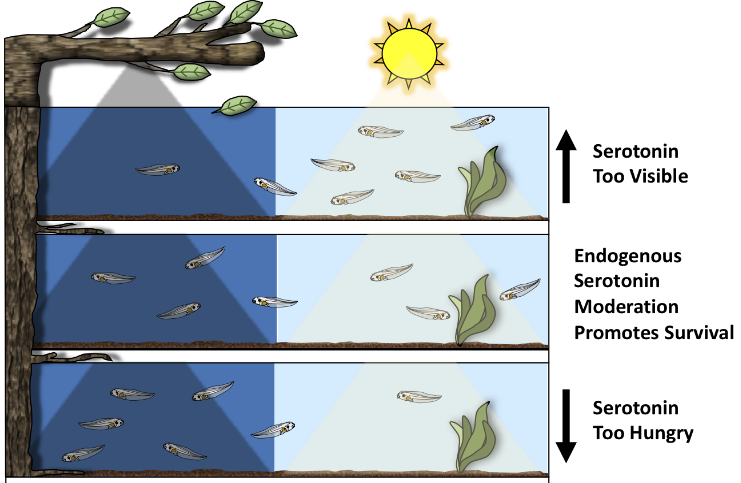 uwyoneuroscien1's tweet image. Congrats to @UwemstoneUdoh, @NeuroJasper, @KaraGPratt1 and additional lab members on their recent publication! dx.doi.org/10.2139/ssrn.4…