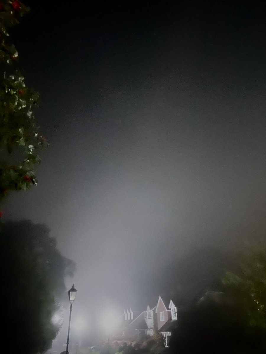 Vidya Bellur tweet media