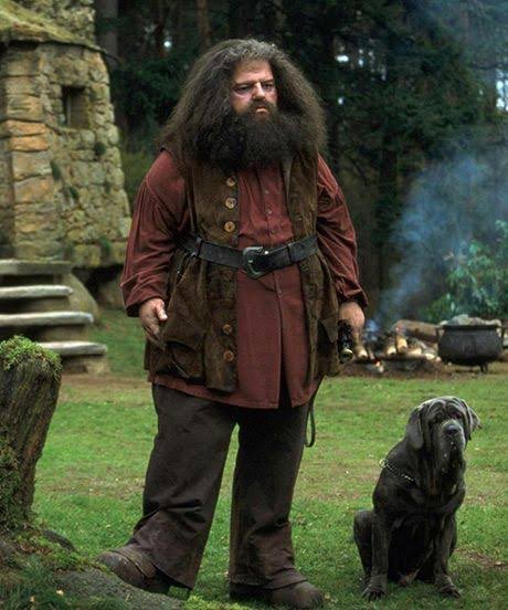 anavilela's tweet photo. Varinhas pra cima, guys 😢 

RIP Robbie Coltrane 

Obrigada por nos dar o Hagrid perfeito ♥️ https://t.co/xyzsNm7lUV