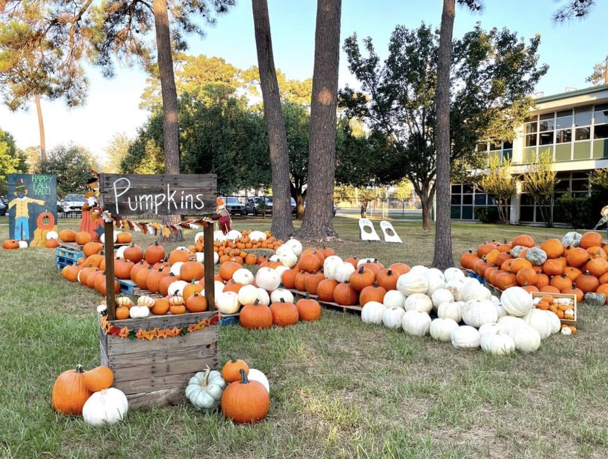 SinclairPTO's tweet photo. The @Sinclair_ES pumpkin patch opened today! Be sure to head over tomorrow, October 15 for our first Spooky Saturday of the season. Thanks to Mark Brawley of @norhillhouston for sponsoring! #pumpkinpatch #houstonpumpkinpatch #timbergrove #sinclairelementary #hisd https://t.co/mF5XqYBeEc