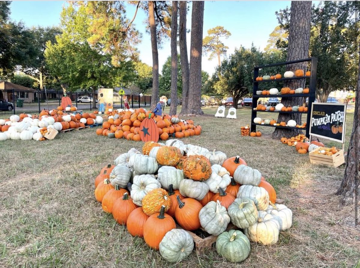 SinclairPTO's tweet photo. The @Sinclair_ES pumpkin patch opened today! Be sure to head over tomorrow, October 15 for our first Spooky Saturday of the season. Thanks to Mark Brawley of @norhillhouston for sponsoring! #pumpkinpatch #houstonpumpkinpatch #timbergrove #sinclairelementary #hisd https://t.co/mF5XqYBeEc