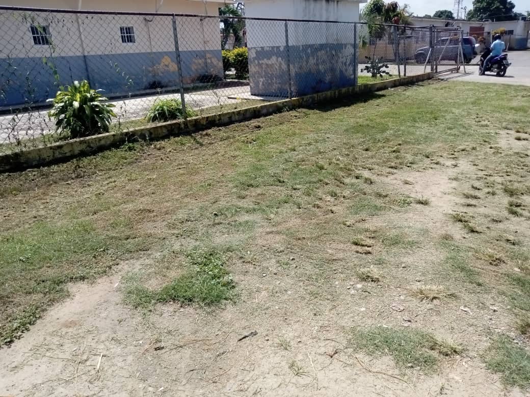 PSUVParroq_SG's tweet photo. #Serpumar trabajó en el desmalezamiento y limpieza en el CDI de Anca, Simoncito de la Trinidad Saman de Guere, gracias a la alcaldesa @johanitakenpo el poder popular avanza cumplie en su comunidad
#VenezuelaEsPoesia
@NicolasMaduro
@Soykarinacarpio
@MarinoDeTodos01
@Tejerias https://t.co/CAnTQv98wA