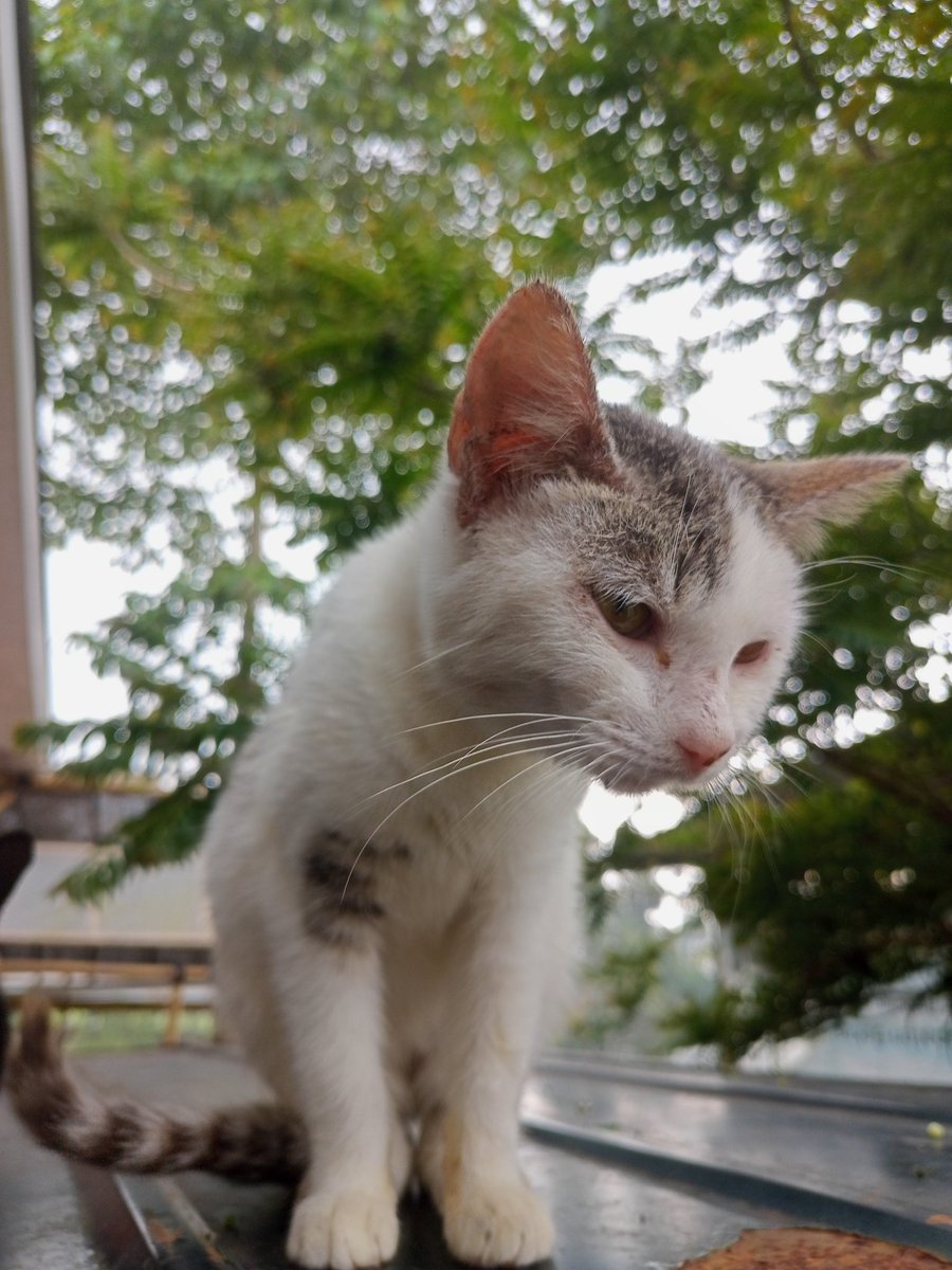 hihihoho tweet media