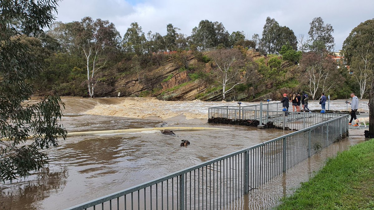 mrjointhedots's tweet photo. I decided to run past #dightsfalls to see how high the river is after recent rain. There sure is a lot of water flowing down the #yarra almost over the viewing platform! https://t.co/YAmIvqoYp9