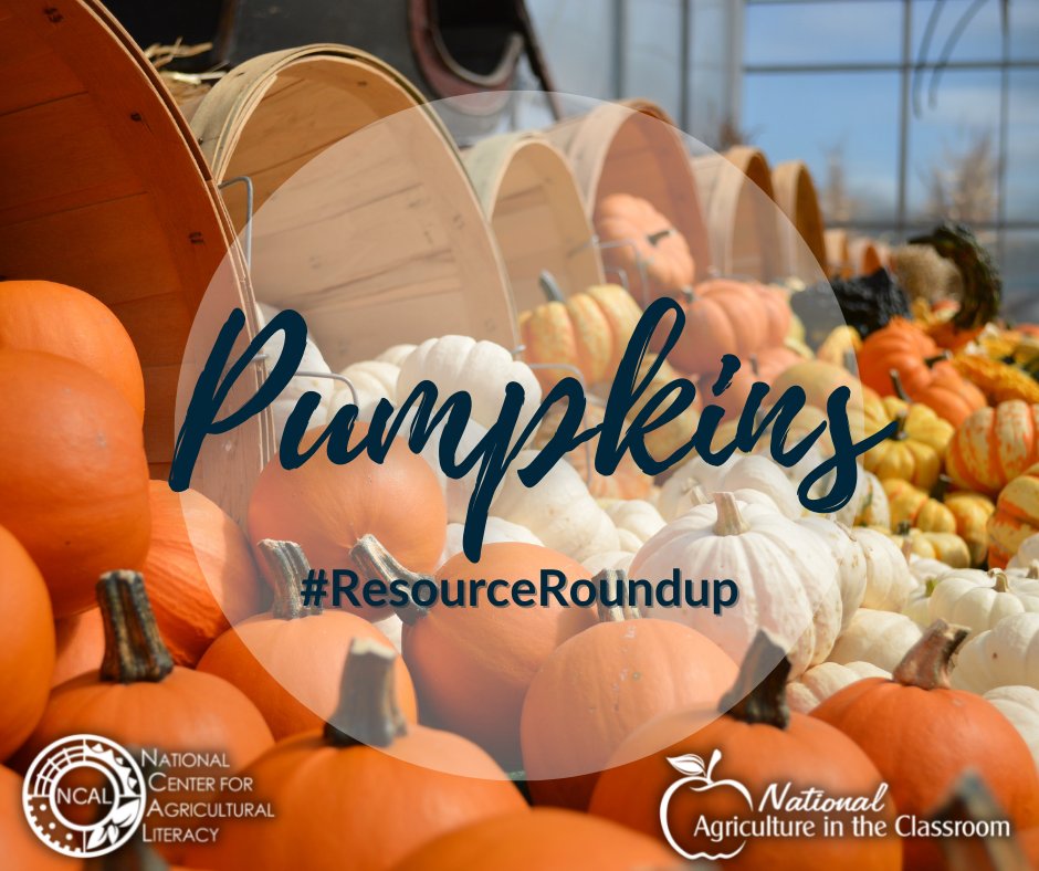 Here are our top 10 resources using PUMPKINS as a context for learning. 

agclassroom.org/matrix/search_…

#agliteracy #agclassroom #pumpkins #ResourceRoundup