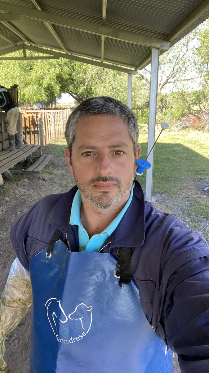 rojasjavier's tweet photo. El laburo de hoy. 
-Inseminación
-Recorrida 
-Inicio de servicio. https://t.co/MMWUqtG9s9