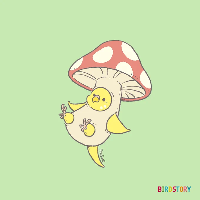 おはようございます。本日は10月15日、きのこの日とのことです#BIRDSTORY #キノコ #セキセイインコ 
