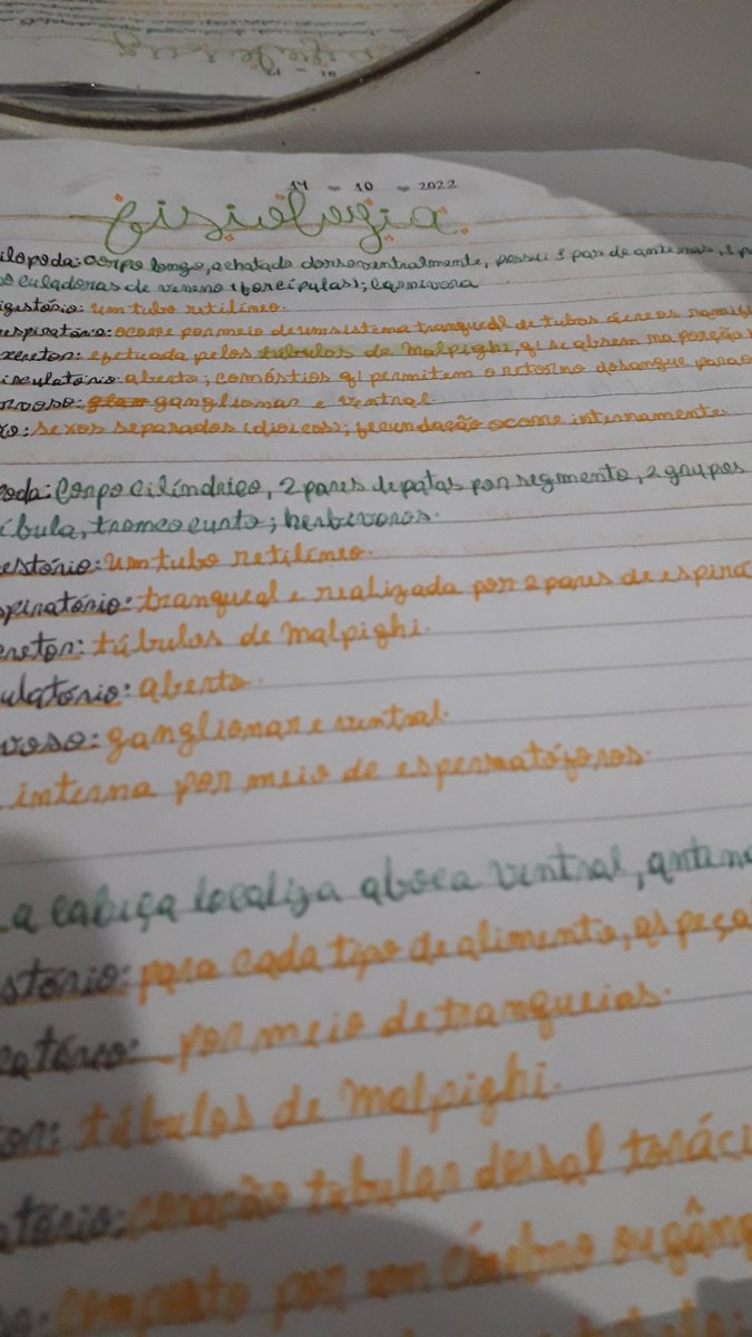 studyphot's tweet image. ⸺ fisiologia de algumas classes de artrópodes que meu prof. de biologia pediu :)