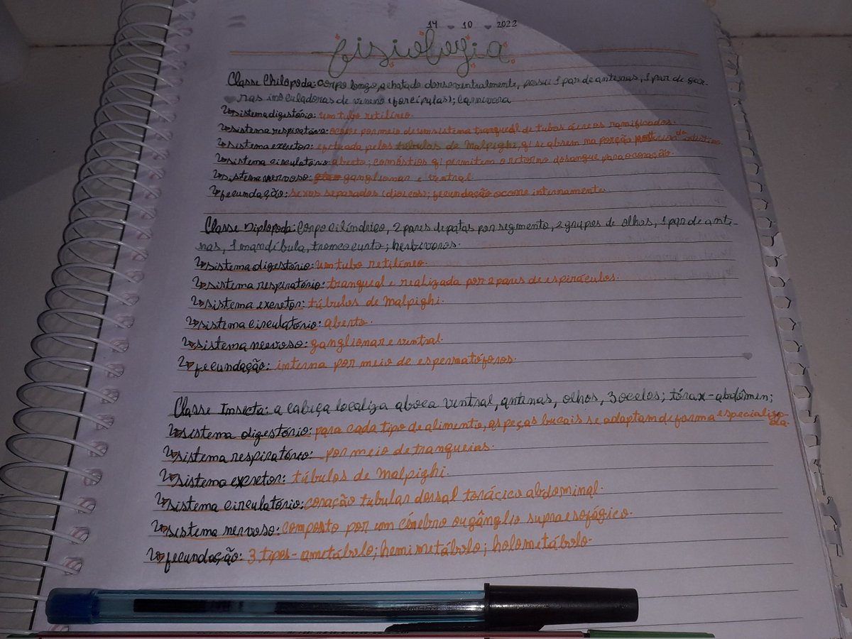 studyphot's tweet image. ⸺ fisiologia de algumas classes de artrópodes que meu prof. de biologia pediu :)