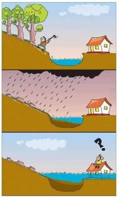 #DesastreNatural? #LasTejerias
#TragediaEnLasTejerias 
#Deforestacion #Deslave #Tragedia #ObraHumana #AccionHumana