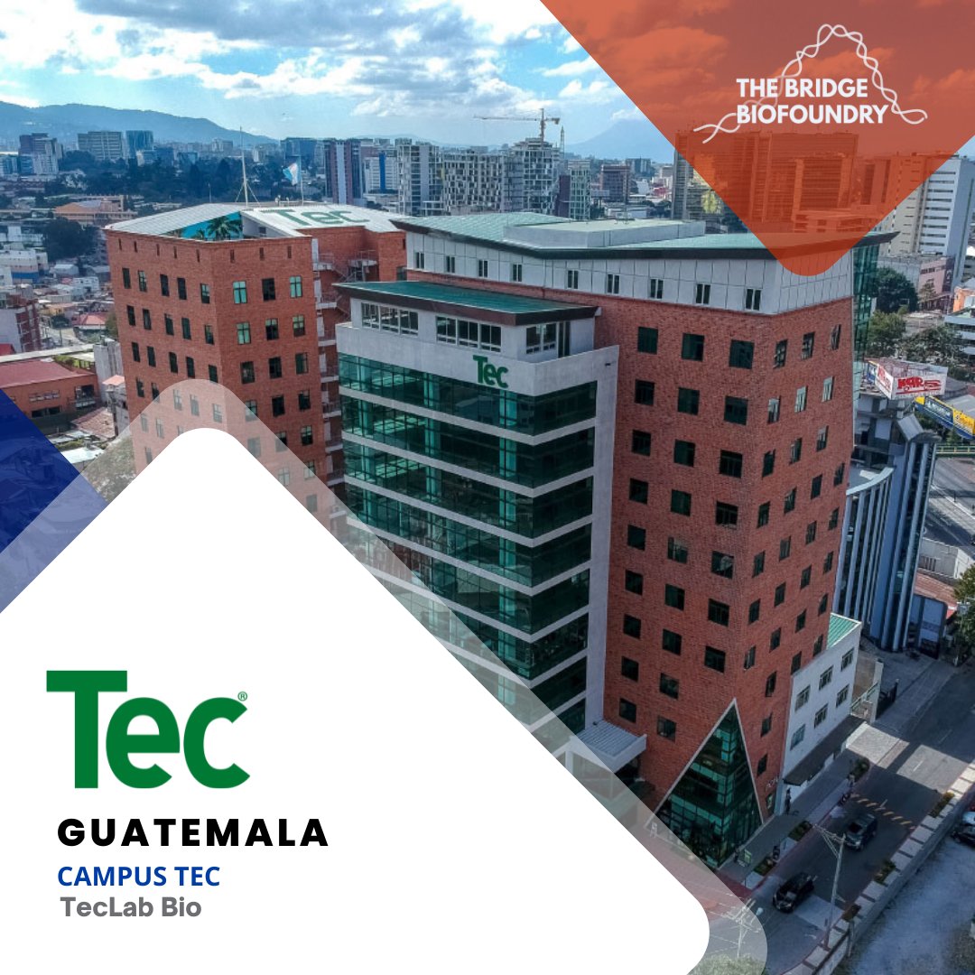 The Bridge Biofoundry tweet media