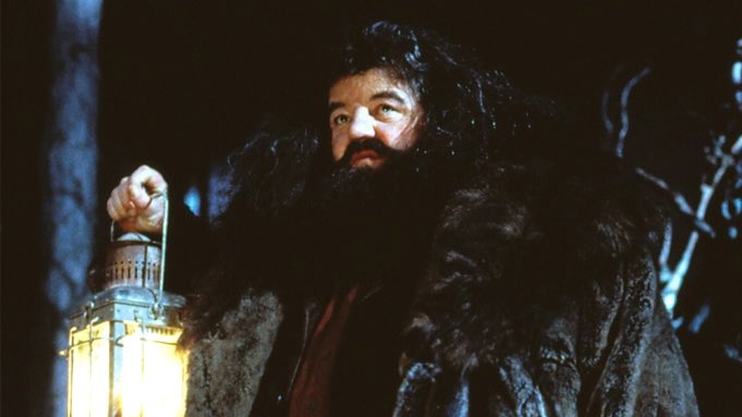 magenoliaa's tweet photo. R.I.P Hagrid:( https://t.co/NPfnJ6G6U2