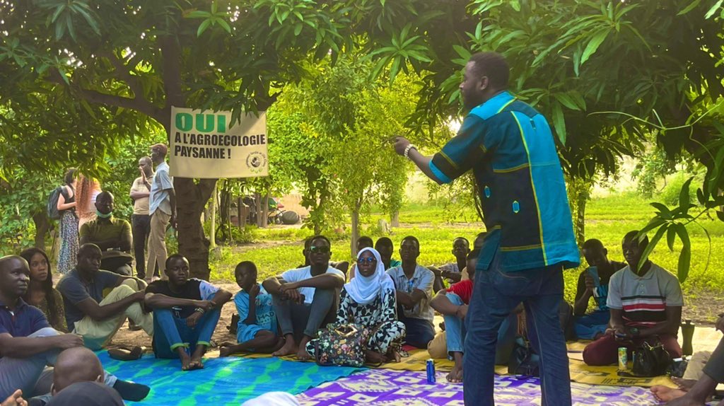 Jve_Senegal's tweet photo. 10/10
Ce 12 Octobre 2022
🌳Spéciale #NdadjéEcologique dans un jardin #PERE_ODD à #Thies avec #ADEB et @TV5MONDE.
Merci au #Proviseur, au personnel et élèves du Lycée Ahmadou Ndack Seck. Merci à Mr #Name
Merci aussi à l’incontournable @GuelwarUE d’@UrgencEco 😎🌳
@NLinSenegal https://t.co/bjM6eOtHVL