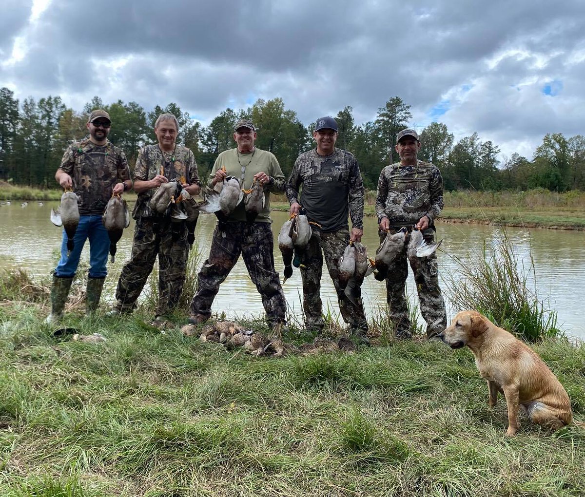 SBLest2013's tweet photo. Action packed duck hunts π¦
#SoggyBottomLodge #DuckHunt #Alabama #Shack33
#DemopolisAL #TuscaloosaAL #WhatGetsYouOutdoors
#MobileAL #BirminghamAL #Mallards https://t.co/6Vko9rN3ud