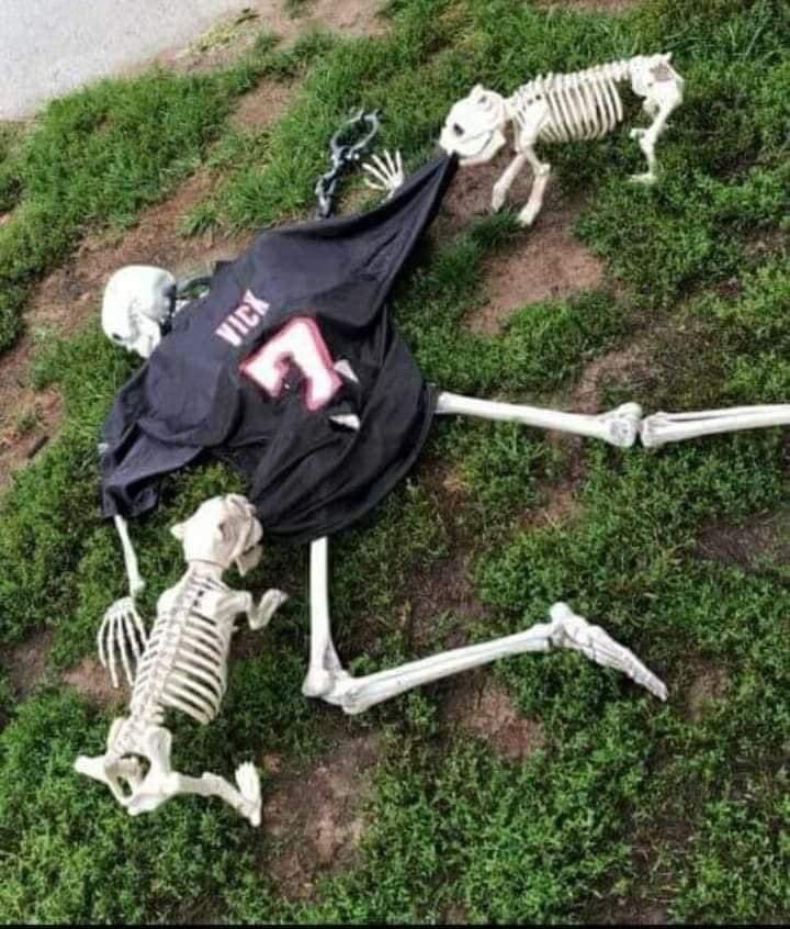 Best one yet 😂☠