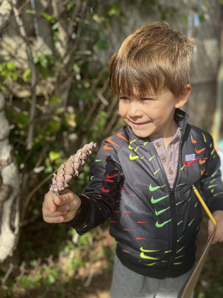 Ms.Paulik tweet media