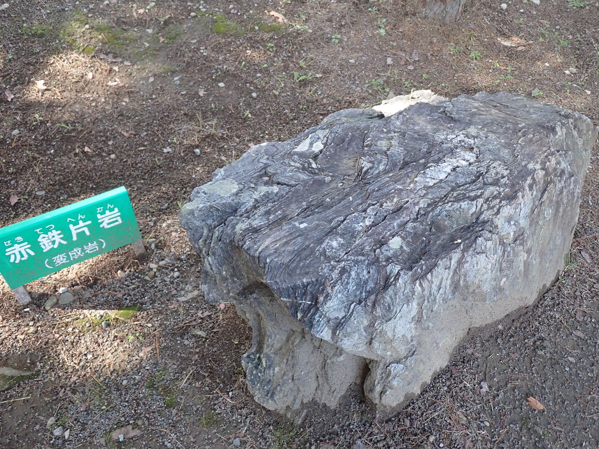 埼玉県立自然の博物館 on Twitter