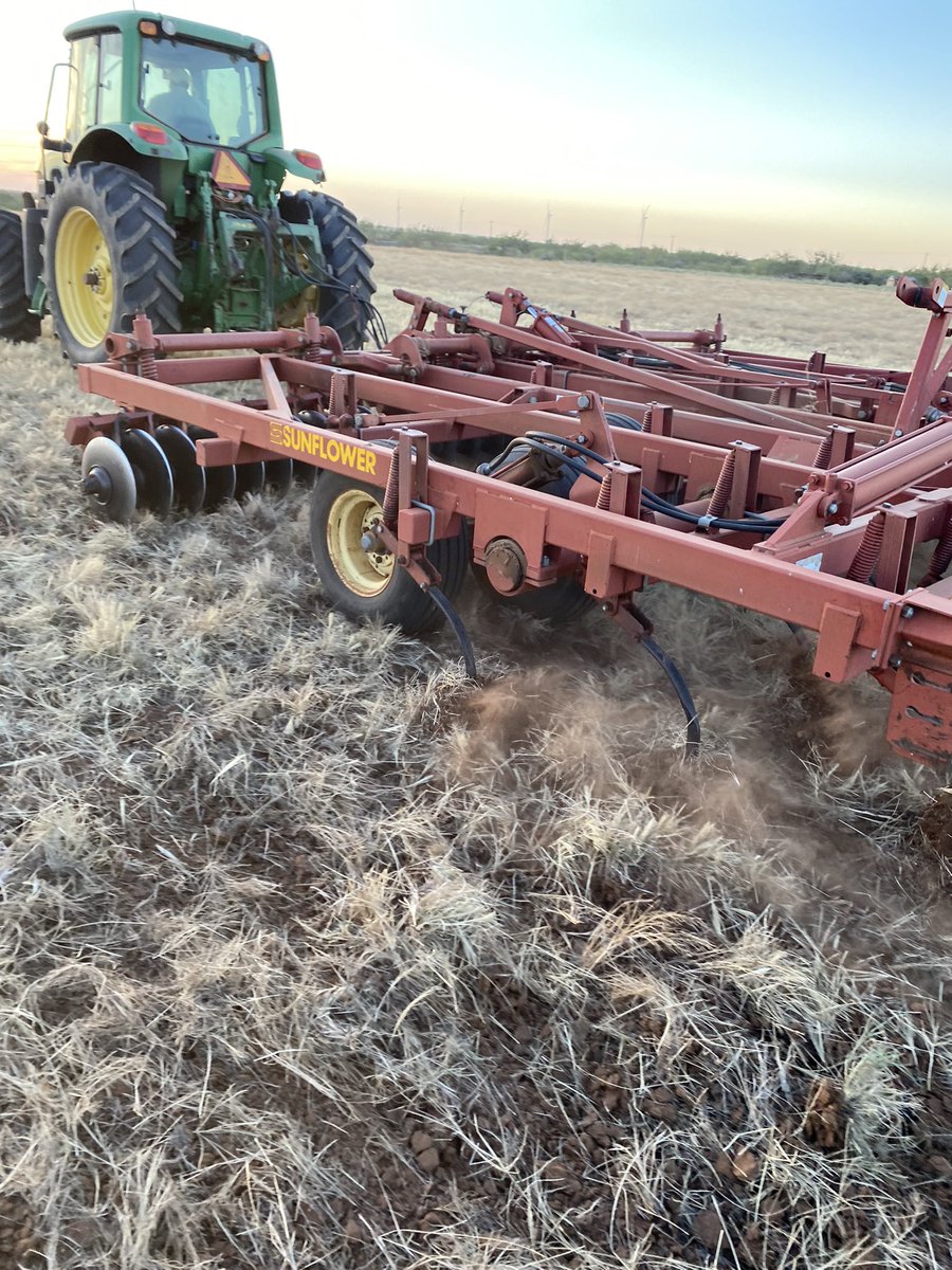 Thought I’d try to replace 19 year no-till wheat with some fescue - two years later reverted to sweeps to combat windmillgrass!