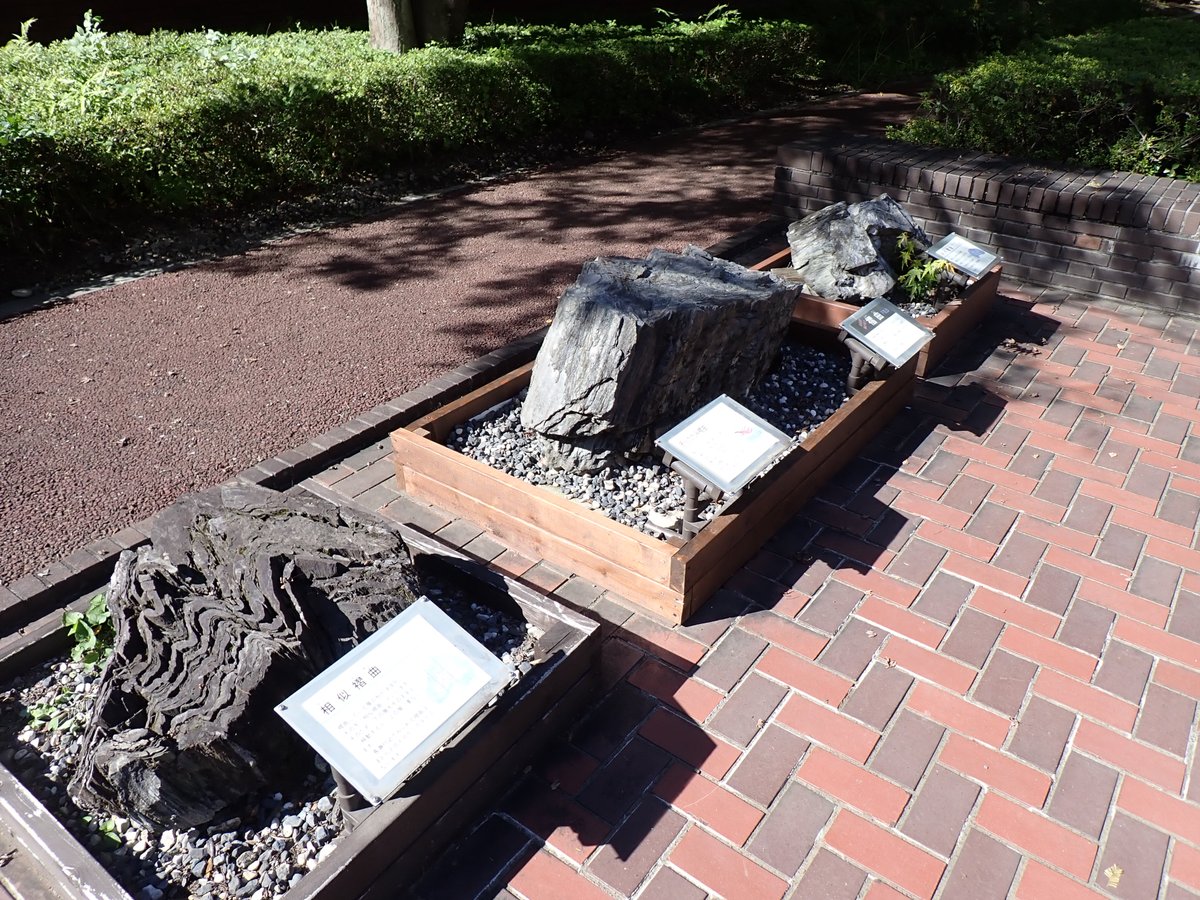 埼玉県立自然の博物館 on Twitter 