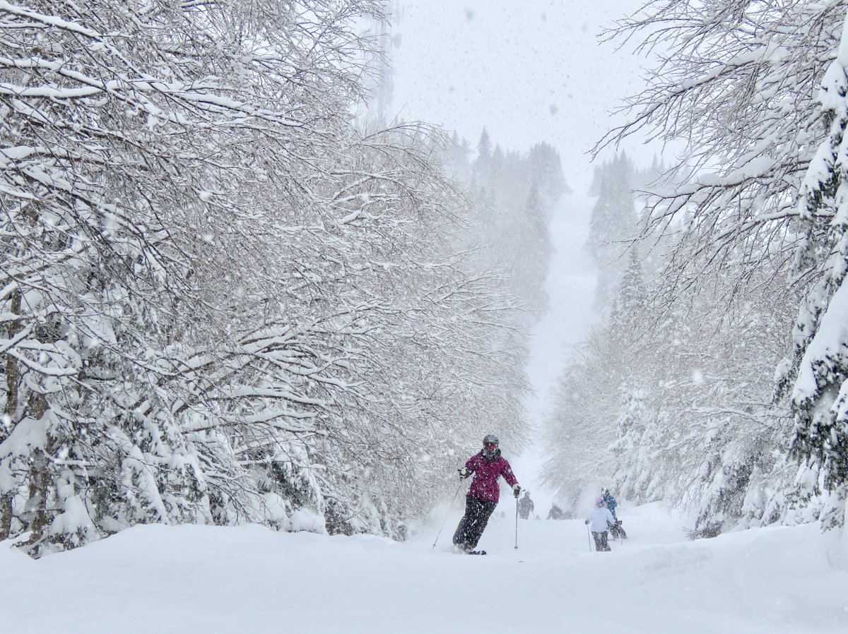 Tremblant360's tweet photo. Have you had enough of crazy World news? 
Visualize Skiing #Tremblant ! The T360 Ski Board Conditions journal with 14 years of Ski Seasons, @ https://t.co/oD1f0g6lJ6 “+" We've just released our annual Ski/Board Season Winter Weather Outlook
for 2022/23 @ https://t.co/jmLNzBn0sd https://t.co/4Jlr6AjJkH