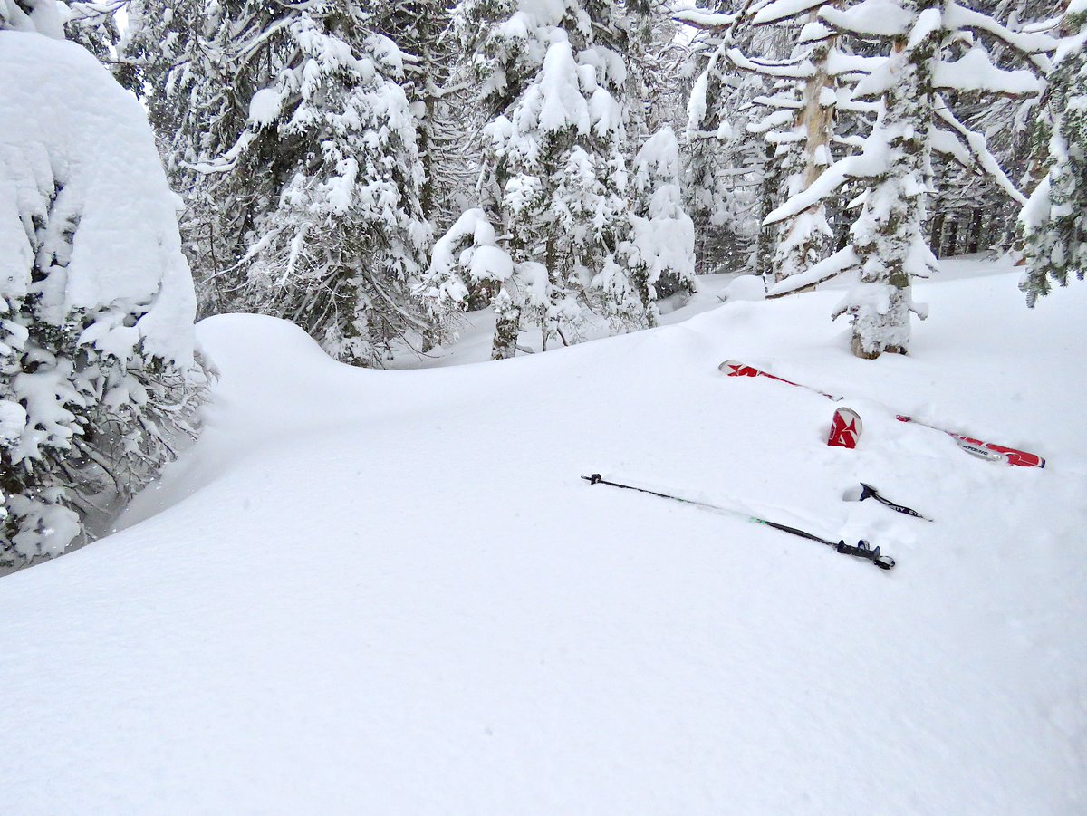 Tremblant360's tweet photo. Have you had enough of crazy World news? 
Visualize Skiing #Tremblant ! The T360 Ski Board Conditions journal with 14 years of Ski Seasons, @ https://t.co/oD1f0g6lJ6 “+" We've just released our annual Ski/Board Season Winter Weather Outlook
for 2022/23 @ https://t.co/jmLNzBn0sd https://t.co/4Jlr6AjJkH